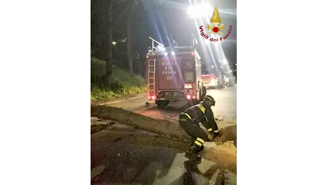 Meteo di Natale, Lazio flagellato da venti e gelo ed emergenza alberi caduti. Le previsioni per Capodanno – Il Caffe