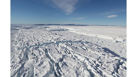 Virus giganti sui ghiacci della Groenlandia: una scoperta sconvolgente