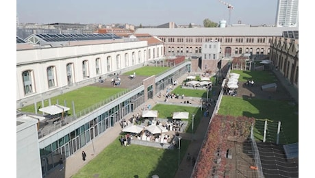 Torino, nasce Campus Grapes: la vigna urbana di Citiculture e del Politecnico