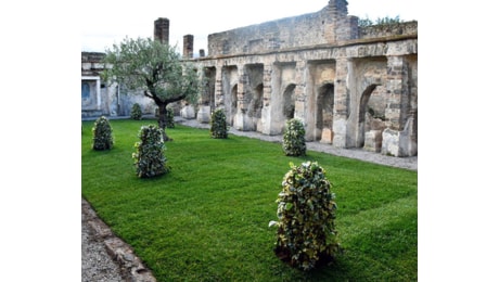 Pompei, il Dna riscrive le storie delle vittime dell'eruzione