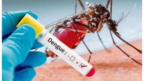 Malo. Primo caso autoctono di dengue su 20enne di Molina