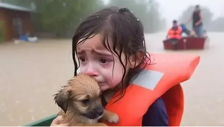 La bambina alluvionata col suo cane: la foto simbolo dell'uragano Helene è falsa. Perché condividerla danneggia i soccorsi