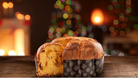 Panettone o Pandoro? Champagne o Spumante? Ecco le preferenze degli italiani