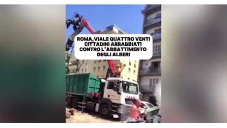 Roma, quasi 150 alberi abbattuti tra Monteverde ed Eur, comune: “Rischio crollo”, cittadini protestano: “Attacco a patrimonio verde della città” – VIDEO