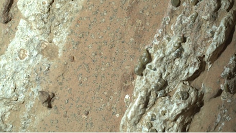 Scoperta di Perseverance su Marte: trovati possibili segni di vita antica