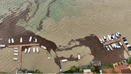 Maltempo in Lombardia, un mare di detriti invade il porto di Argegno: le immagini dal drone