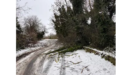 GARGANO Vigilia di Natale con la neve sul Gargano e monti Dauni