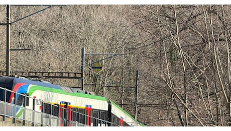 Deraglia un treno Tilo a Sigirino e piomba lungo il Vedeggio