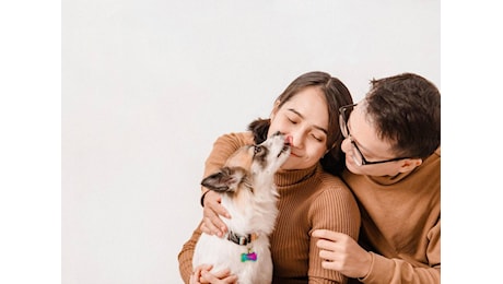 Rivoluzione sugli aerei: animali domestici in cabina