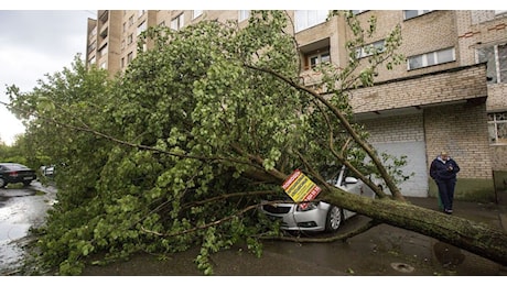 Un albero cade su un edificio a Roma, rotta una tubatura del gas