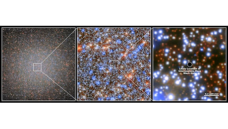 Hubble rivela un buco nero in Omega Centauri: una scoperta senza precedenti | FOTO e VIDEO
