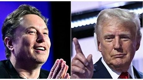 Trump, le nuove nomine: Musk capo del Dipartimento per l'efficenza governativa, il conduttore di Fox Hegseth a capo del Pentagono, ecco la squadra