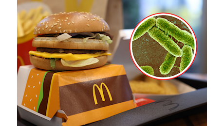 Allarme Escherichia coli nei McDonald’s: in quale ingrediente si trova il batterio? Facciamo chiarezza