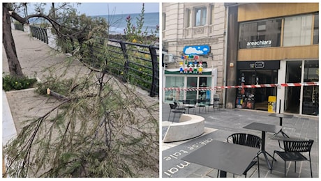 Maltempo a Bari, al via la conta dei danni. Tra calcinacci caduti, alberi sferzati e strade chiuse