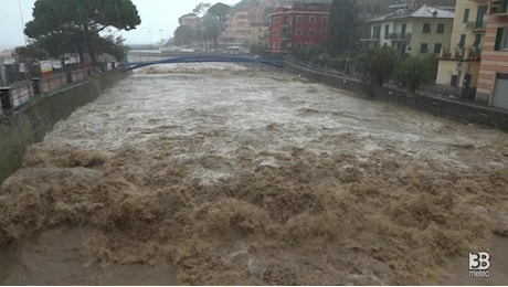 Cronaca meteo diretta - Maltempo Liguria, Genova. Recco, importante piena del torrente. Riferite fuoriuscite a monte - Video