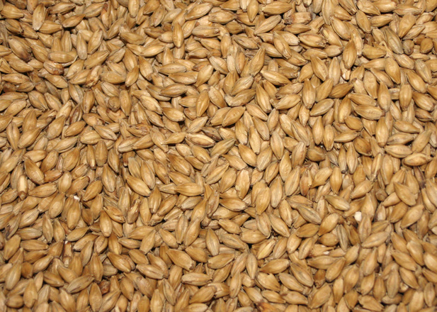 Speciality Malt Market Projected to Reach US$ 4 Bn by 2026: FMI